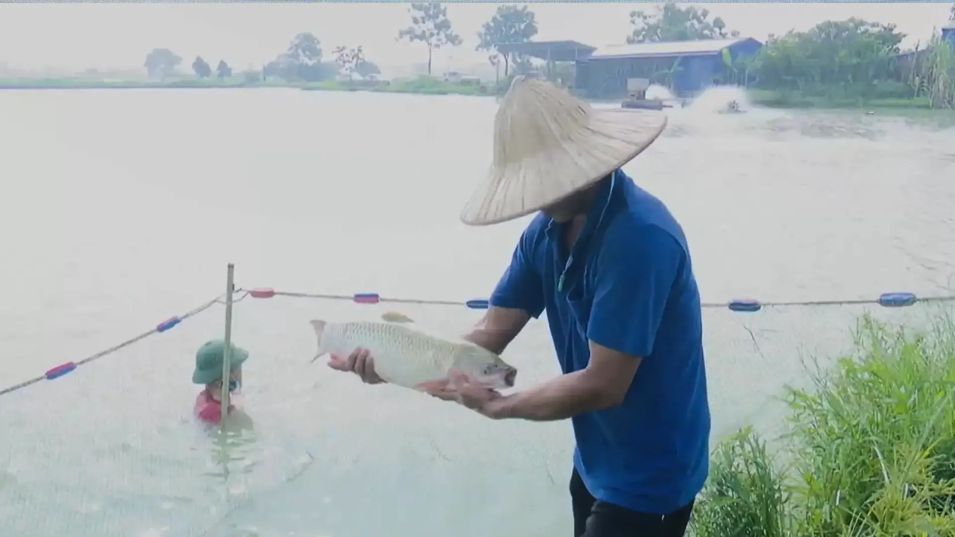 Hà Nội mở rộng mô hình nuôi thủy sản đạt chuẩn VietGAP